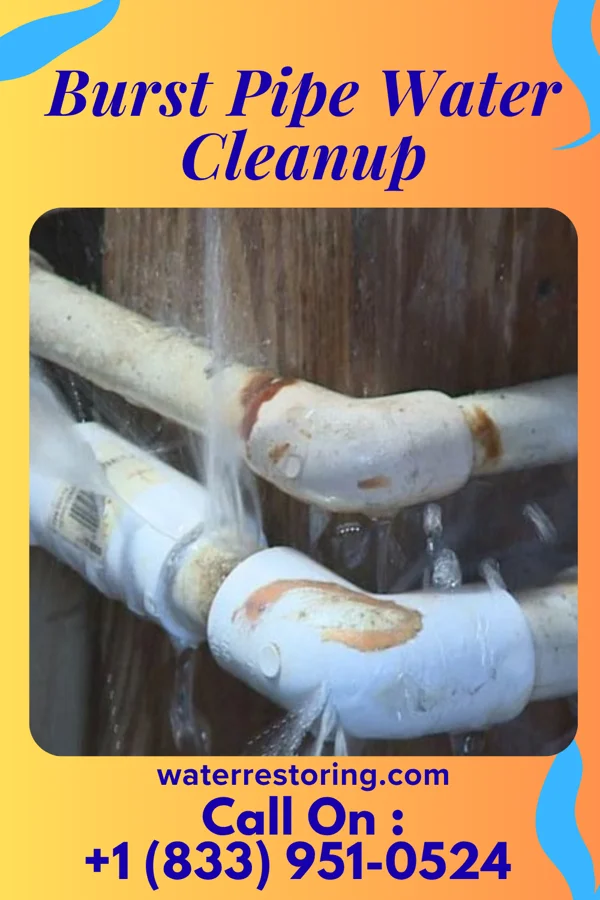 Burst Pipe Water Cleanup in McEwen, TN