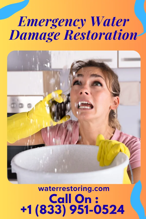 Emergency Water Damage Restoration in McEwen, TN