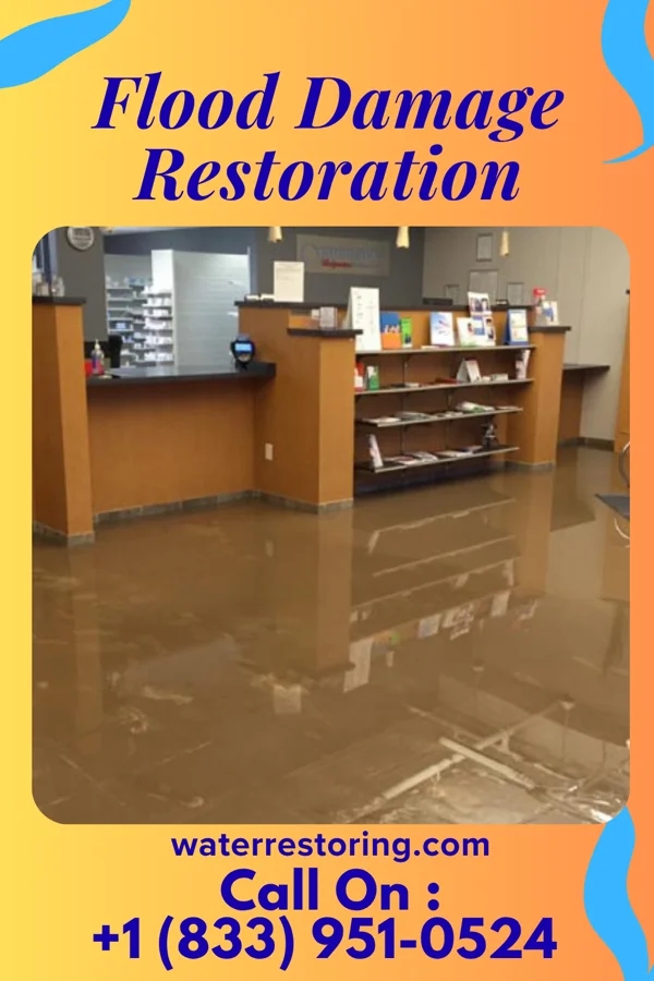 Flood Damage Restoration in McEwen, TN