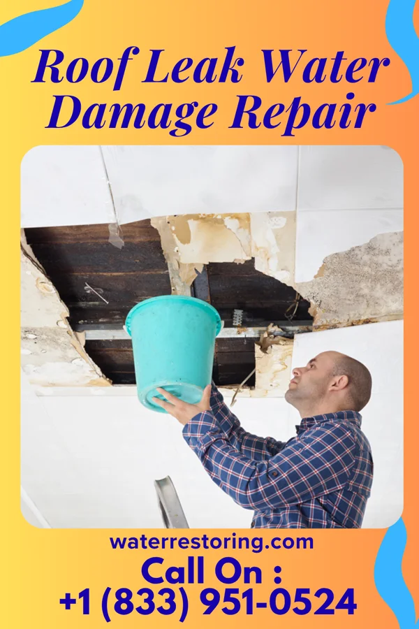 Roof Leak Water Damage Repair in McEwen, TN