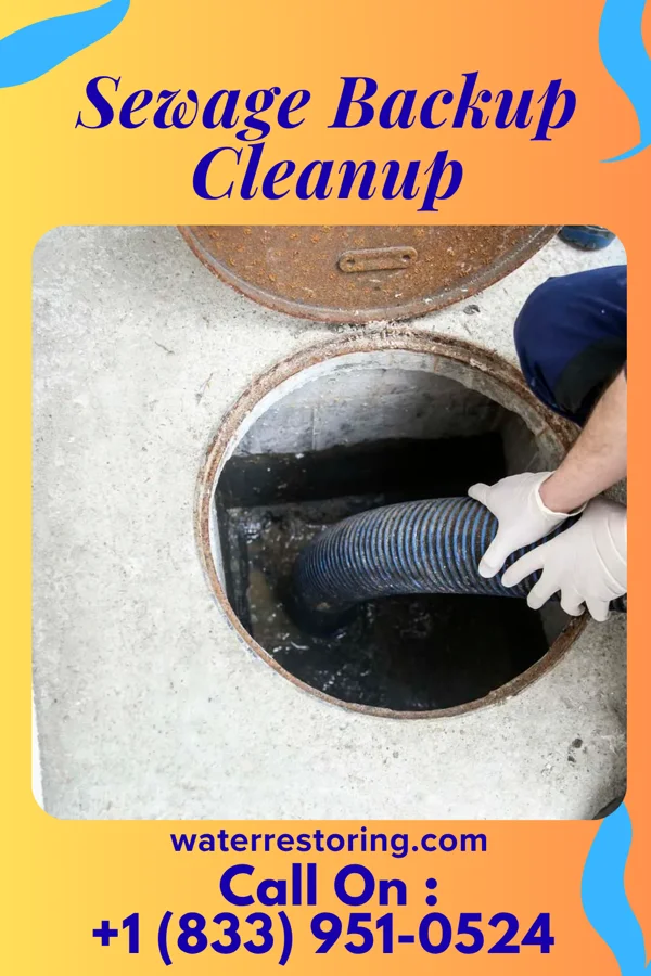 Sewage Backup Cleanup in McEwen, TN