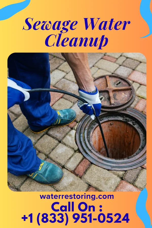 Sewage Water Cleanup in McEwen, TN