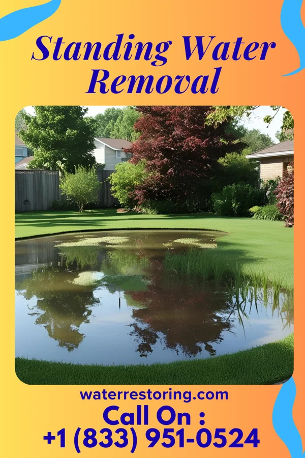 Standing Water Removal in McEwen, TN